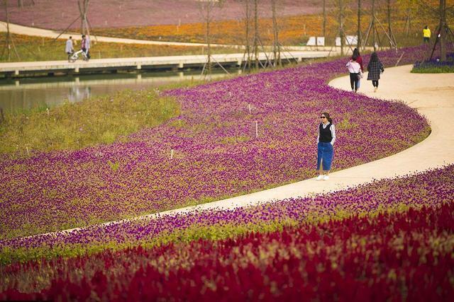 航拍貴州畢節金海湖濕地公園