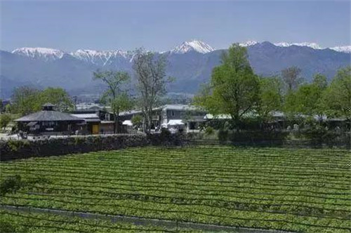 國外休閑農(nóng)業(yè)原來這么玩