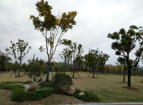 2017園冶杯專業獎現場評審報道（安徽站）
