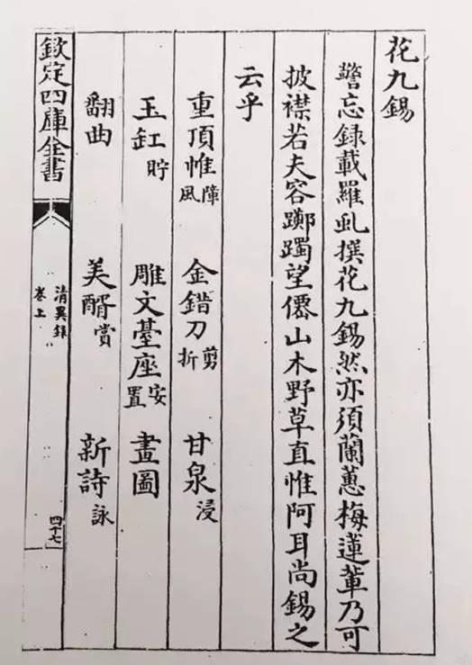 千年之韻——中國傳統插花藝術