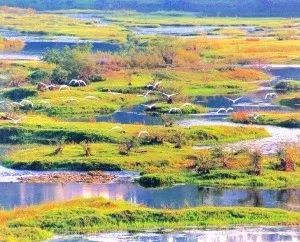 江西又有三個國家公園入選“中國森林氧吧”
