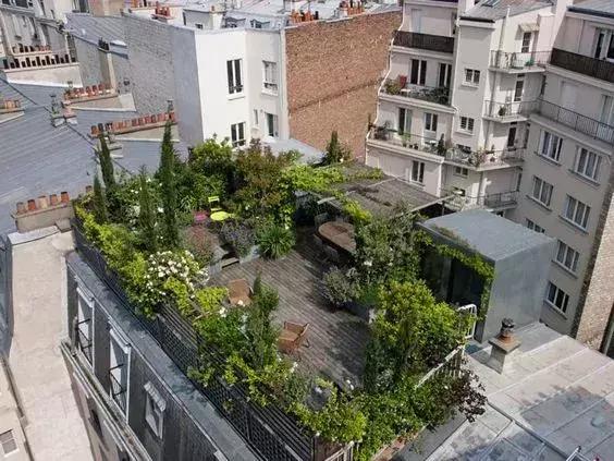 屋頂花園又不是說說而已