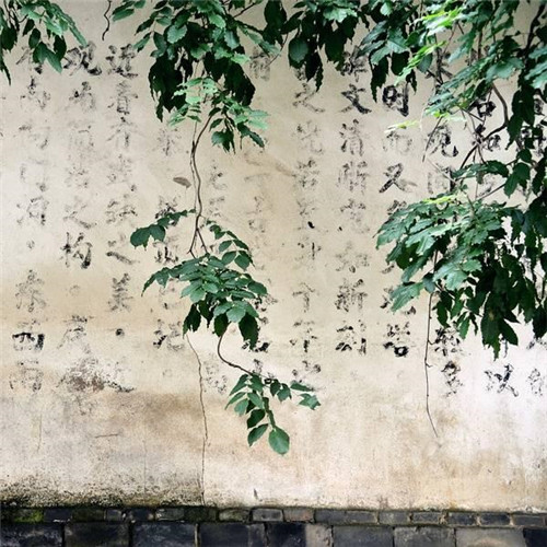 在中國古典園林中尋摸中華文化的審美意識