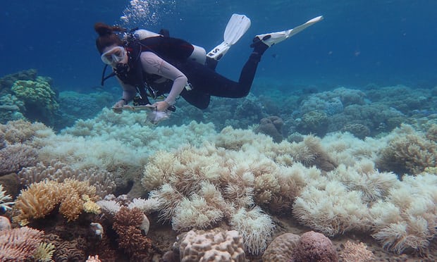 澳洲氣候委員會：氣候變化恐危及旅游業(yè)