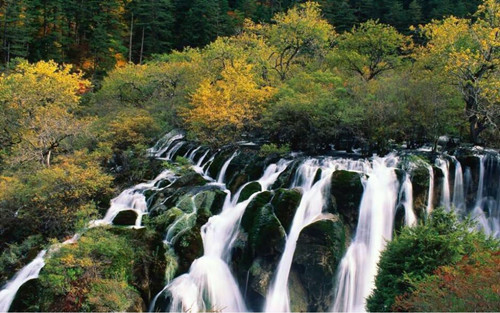 王達(dá)：從庭院到風(fēng)景，重回中國(guó)造園的原點(diǎn)