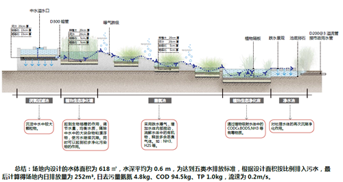 劉怡：城市雙修中“見縫插針”式的生態(tài)修復