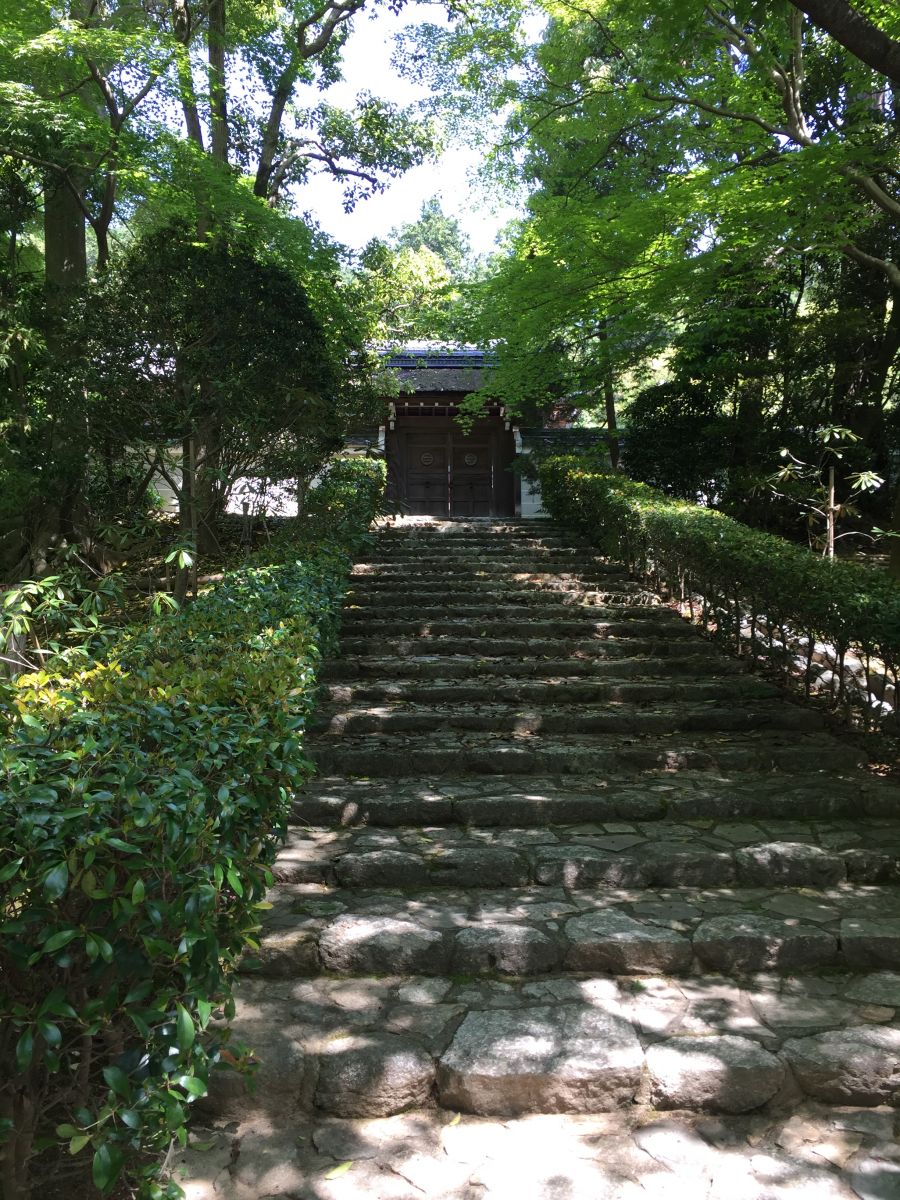 領(lǐng)略日本傳統(tǒng)庭院 考察京都最美河流