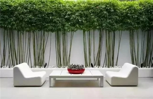 庭院水景、圍墻風水的巧妙布局
