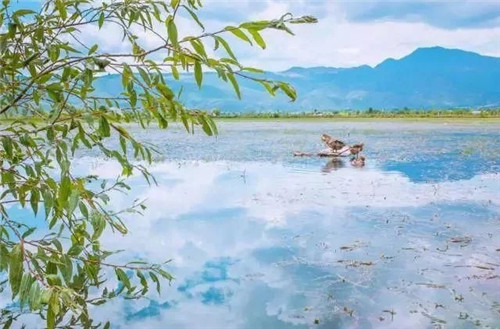 云南省第一個(gè)以濕地命名的保護(hù)區(qū)