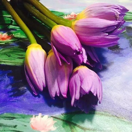 插花入門篇｜小白選手從認(rèn)識常見花材開始
