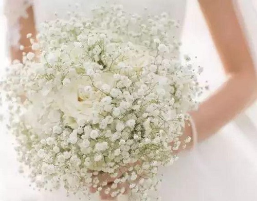 插花入門篇｜小白選手從認(rèn)識常見花材開始