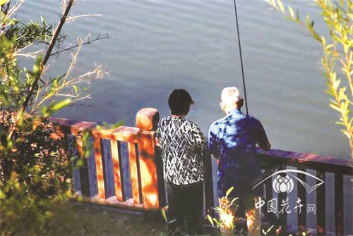 植物空間營造如何與康養結合？