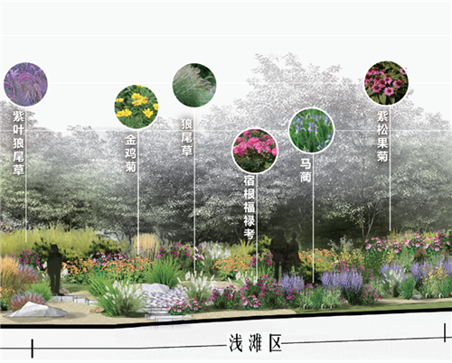 河北省第二屆（秦皇島）園博會花境創意作品——山海境