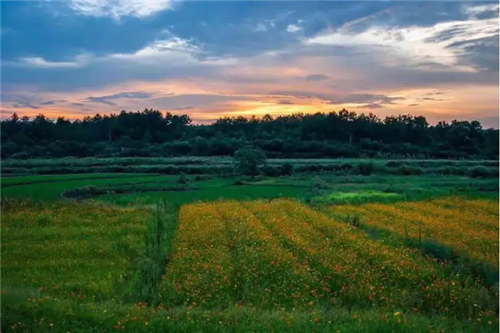鄉(xiāng)村為底圖，設計為橋梁：2018第三屆國際高校建造大賽結(jié)果揭曉