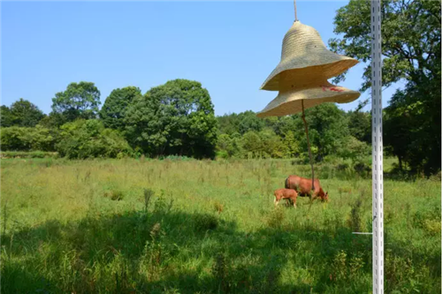 鄉(xiāng)村為底圖，設計為橋梁：2018第三屆國際高校建造大賽結(jié)果揭曉