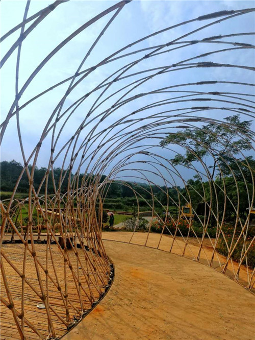鄉(xiāng)村為底圖，設計為橋梁：2018第三屆國際高校建造大賽結(jié)果揭曉