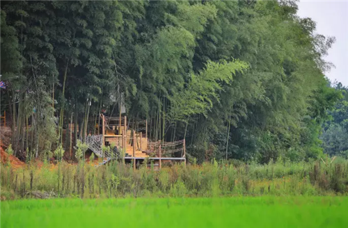 鄉(xiāng)村為底圖，設計為橋梁：2018第三屆國際高校建造大賽結(jié)果揭曉