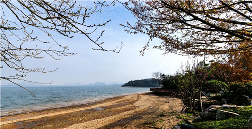 園冶杯專業獎：岳陽南湖龍山景區園林綠化景觀EPC項目