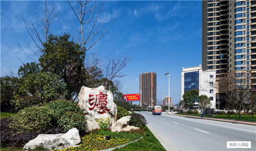 園冶杯專業獎：臨湘中心城區綠化改造工程