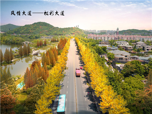 園冶杯專業獎：湘湖度假區景觀提升工程