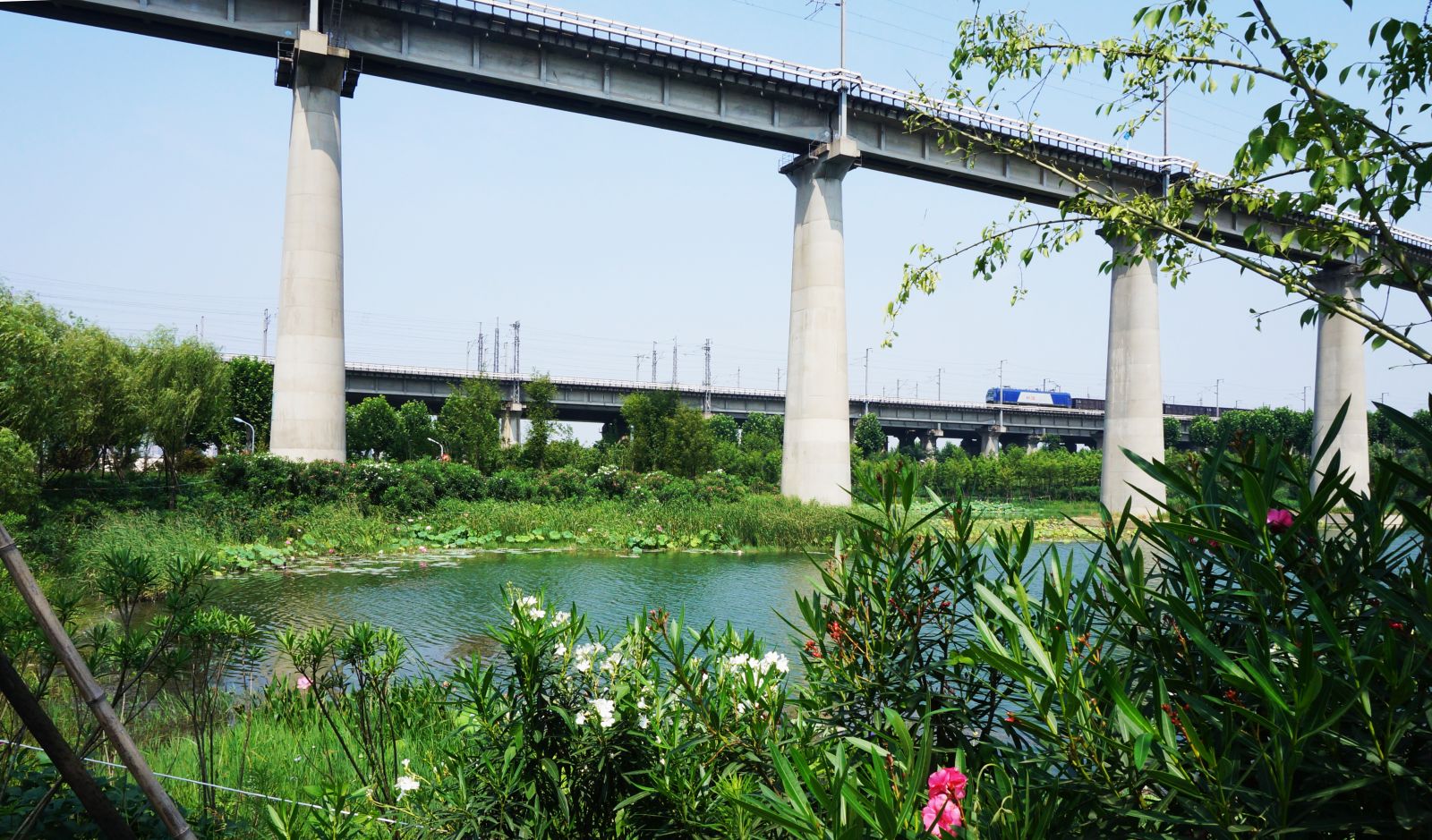 園冶杯專業(yè)獎：戴家湖公園生態(tài)修復工程