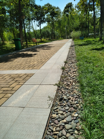 園冶杯專業(yè)獎：戴家湖公園生態(tài)修復工程
