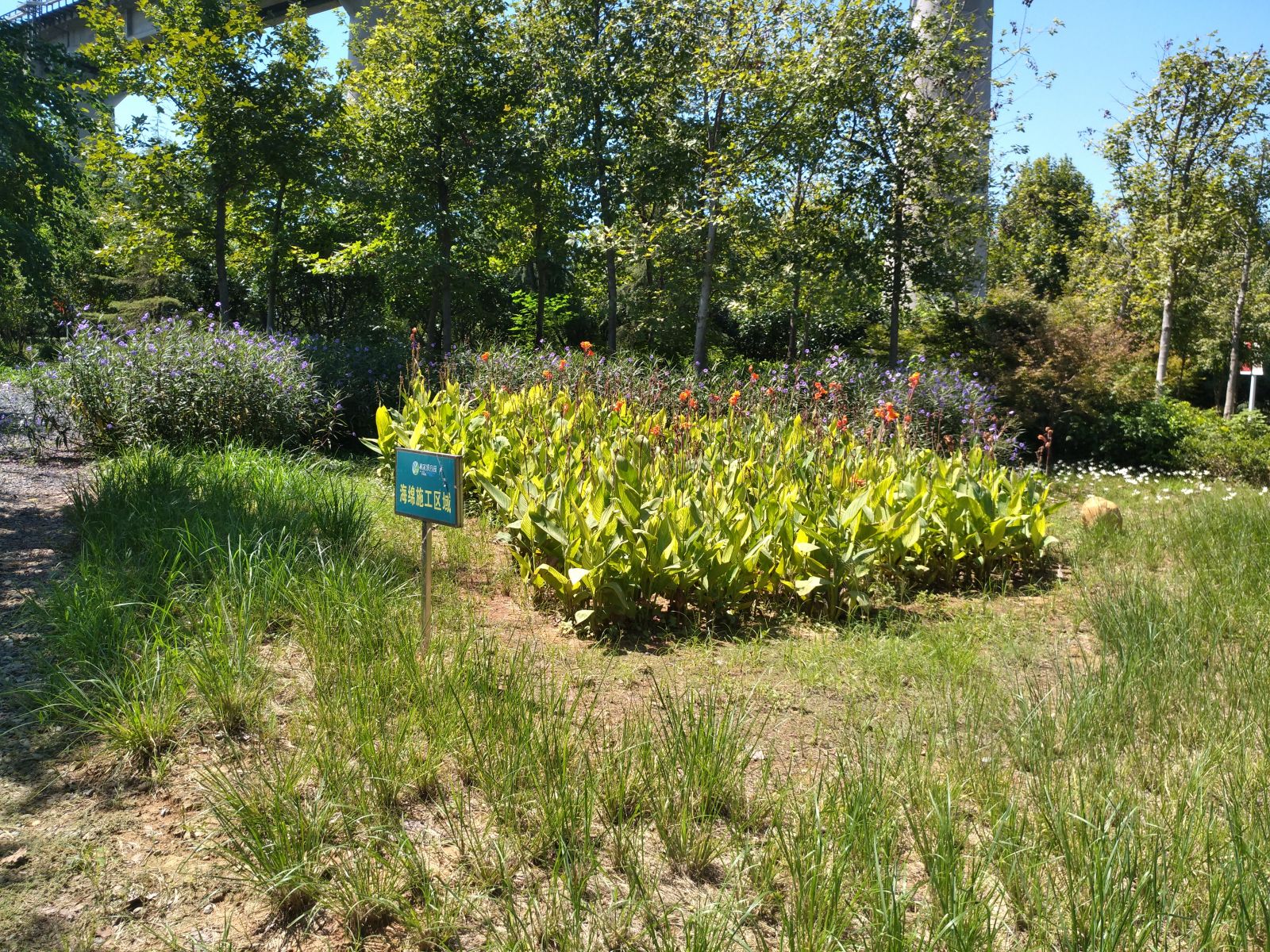園冶杯專業(yè)獎：戴家湖公園生態(tài)修復工程