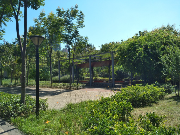 園冶杯專業(yè)獎：戴家湖公園生態(tài)修復工程