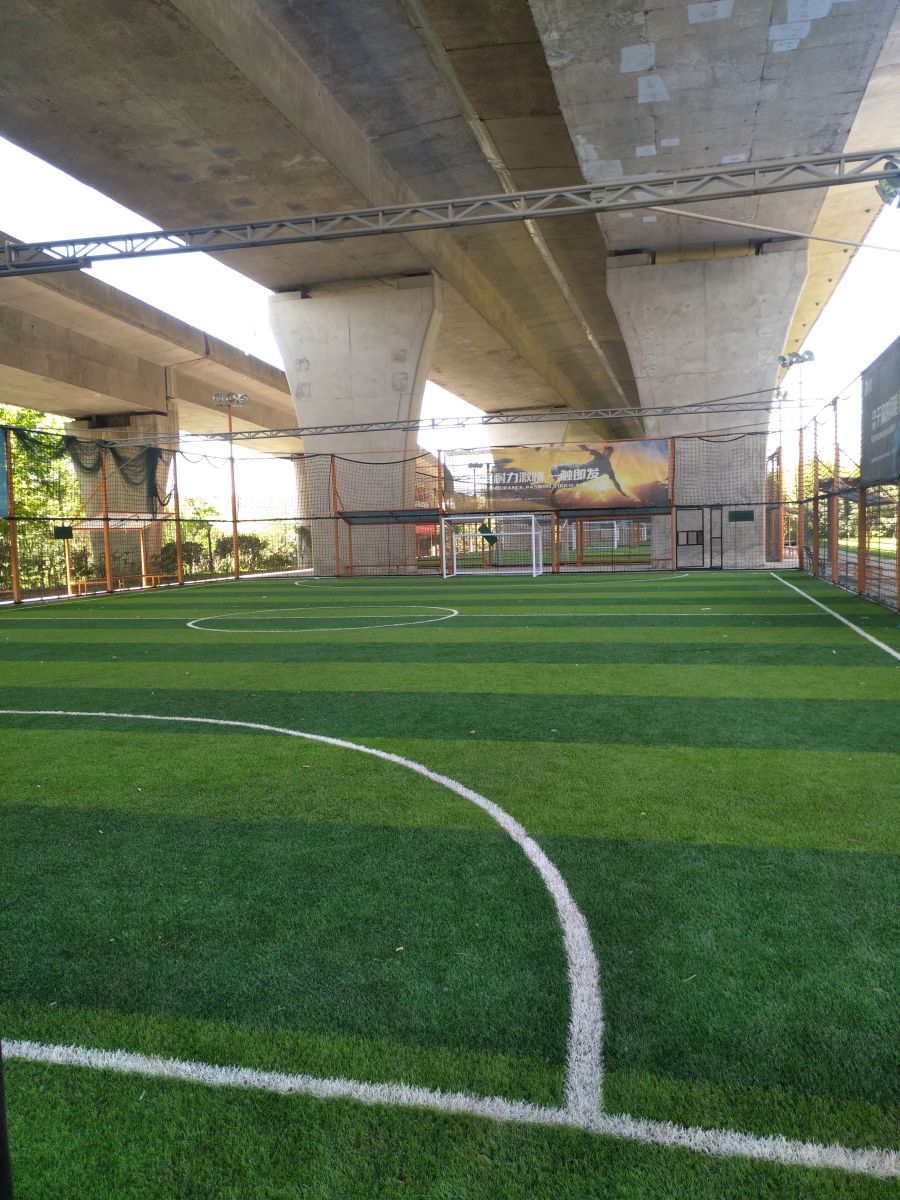 園冶杯專業(yè)獎：戴家湖公園生態(tài)修復工程