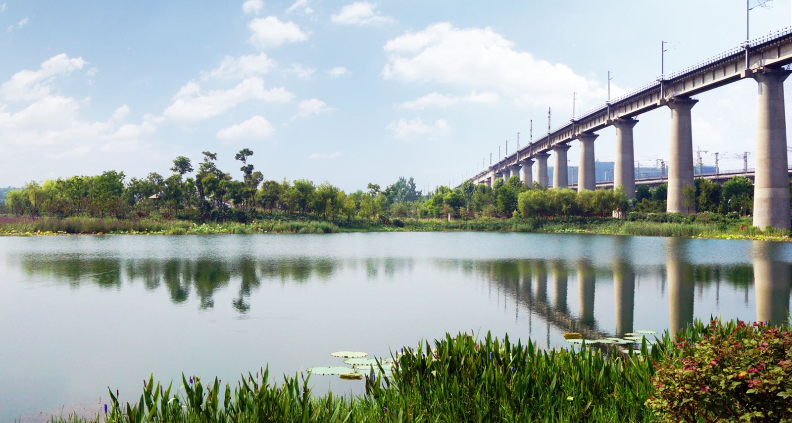 園冶杯專業(yè)獎：戴家湖公園生態(tài)修復工程