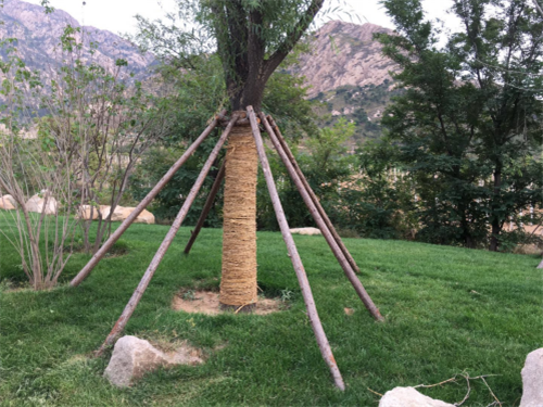 園冶杯專業獎：昌黎產業小鎮項目園林景觀