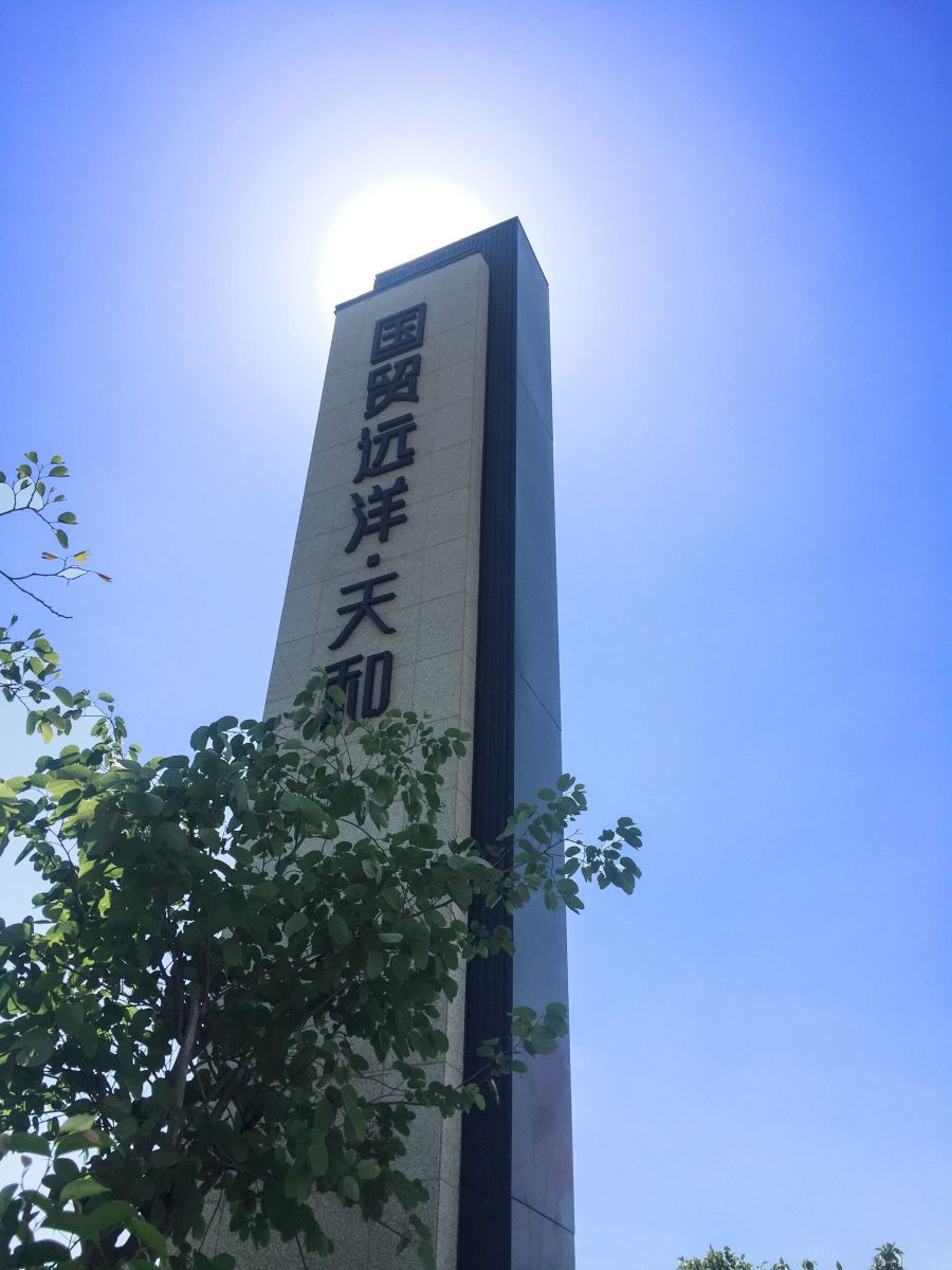 園冶杯專業獎：廈門翔安國貿遠洋天和示范區
