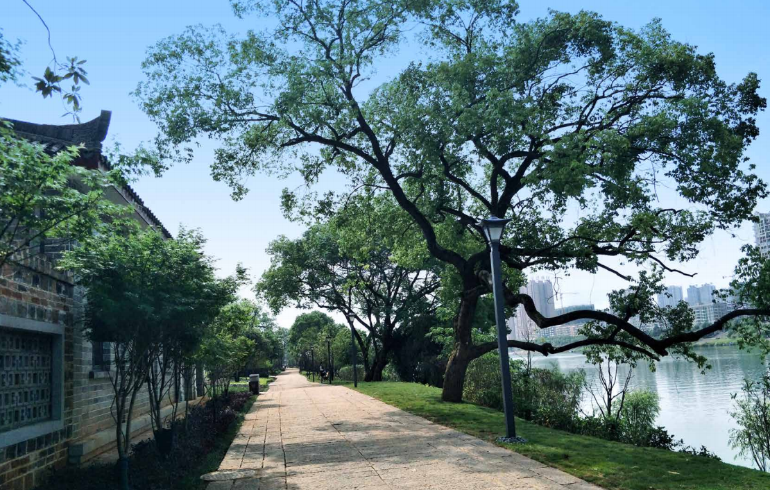 園冶杯專業獎：衡陽市東洲島綜合開發項目景觀設計