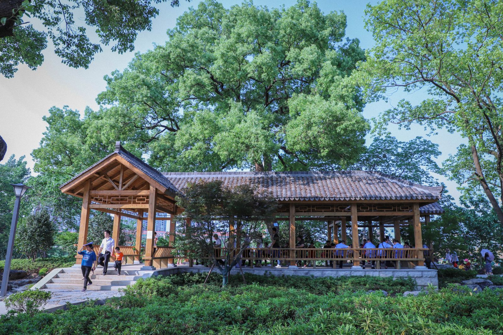 園冶杯專業獎：衡陽市東洲島綜合開發項目景觀設計