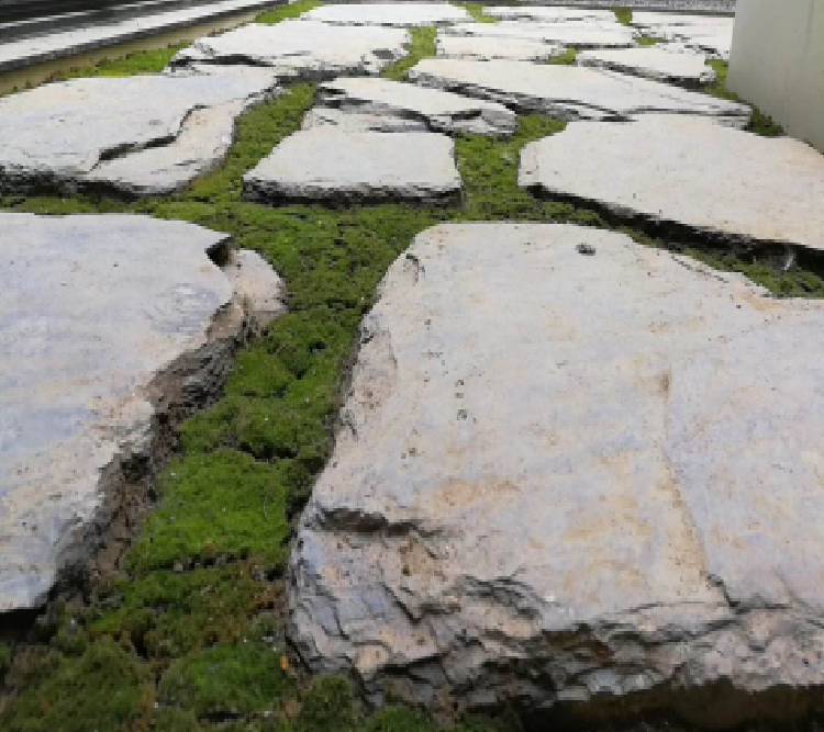 園冶杯專業獎：麗高王府庭院景觀設計