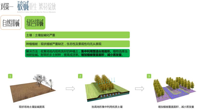 園冶杯專業獎：黃驊城西花卉園工程設計方案