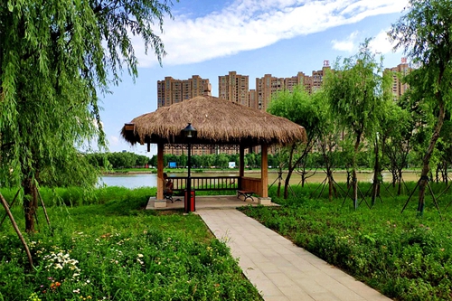 園冶杯專業(yè)獎(jiǎng)：老黿塘濕地公園