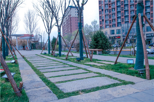 園冶杯專(zhuān)業(yè)獎(jiǎng)：明水鐵路公園景觀規(guī)劃設(shè)計(jì)
