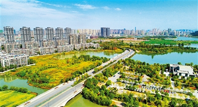 杭州綠化經(jīng)驗：讓城市推窗見綠移步成景