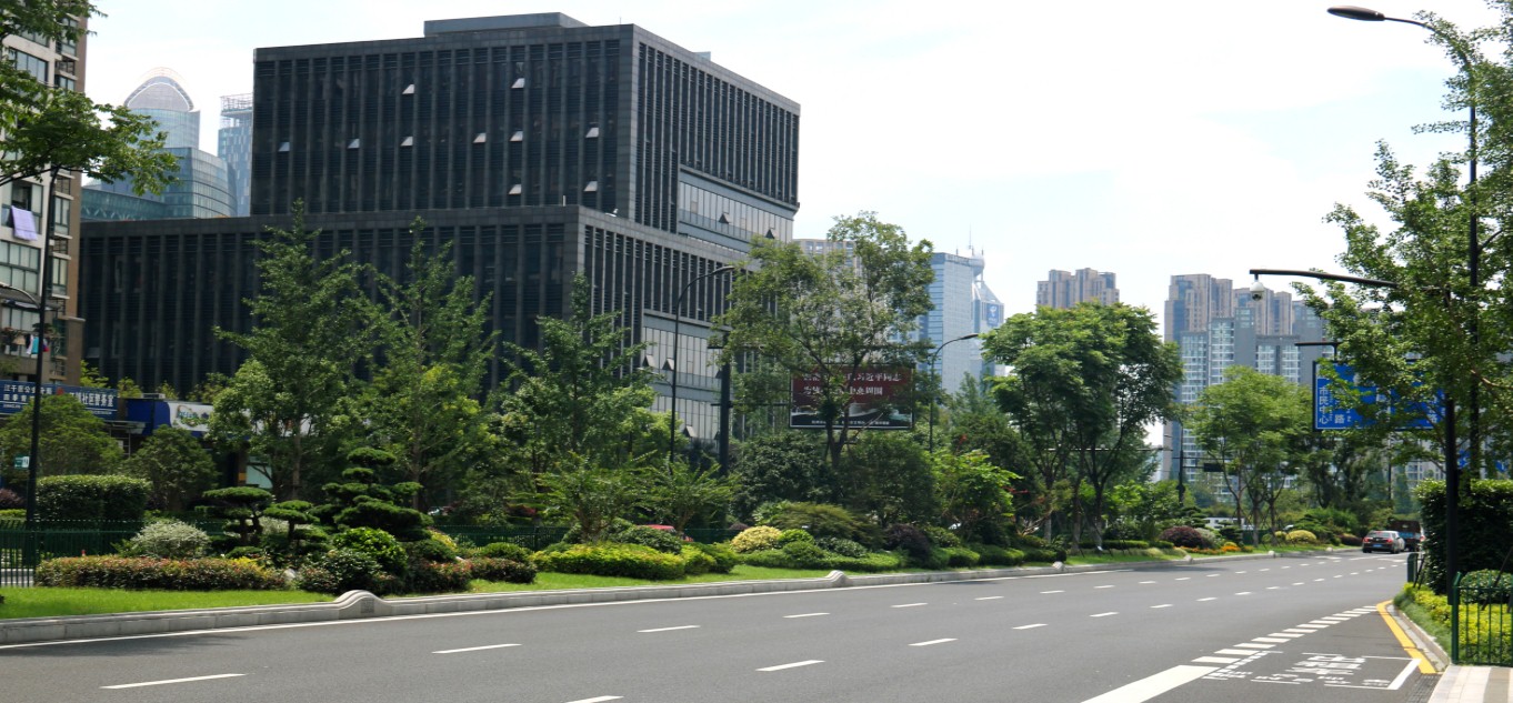 園冶杯專業獎：新塘路（新風路-新業路）綜合整治工程景觀綠化Ⅰ標段