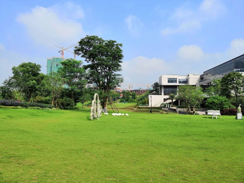 園冶杯專業獎：泰豐花園一期A標段展示區園林景觀工程