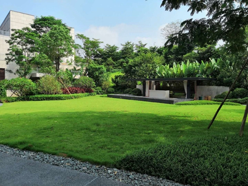園冶杯專業獎：泰豐花園一期A標段展示區園林景觀工程