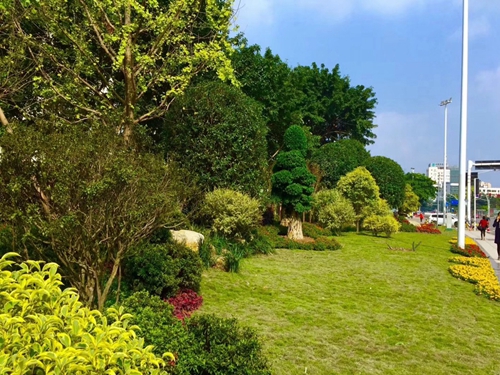 園冶杯專業(yè)獎(jiǎng)：資陽(yáng)市嬌子大道綜合整治建設(shè)工程-節(jié)點(diǎn)景觀提升