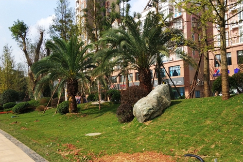 園冶杯專業(yè)獎(jiǎng)：資陽(yáng)市嬌子大道綜合整治建設(shè)工程-節(jié)點(diǎn)景觀提升