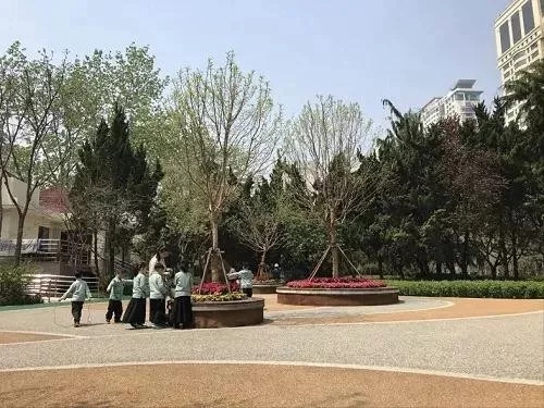 園冶杯專業獎：青島市普寧路游園景觀工程