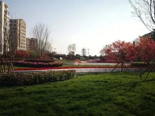 園冶杯專業獎：青島市普寧路游園景觀工程