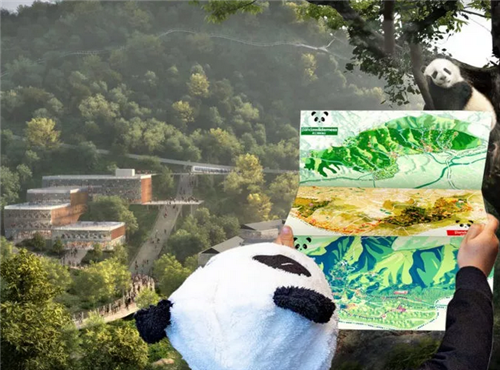 成都熊貓保護區(qū)制定總體規(guī)劃
