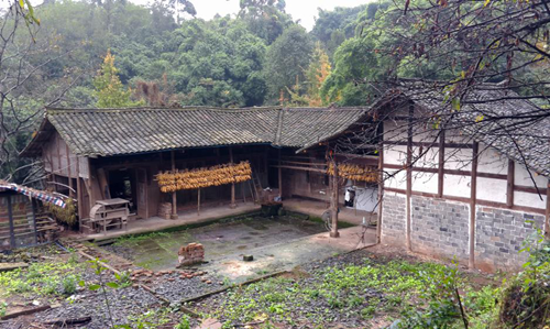 李沄璋：鄉村振興背景下對川西林盤保護與更新的思考