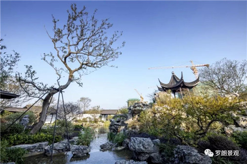 方寸之間，自有天地 | 南京建發(fā)?央譽(yù)