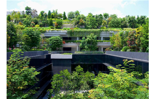 郭雋菡：藍綠宜居空間規劃與適應性海綿城市設計思考